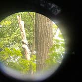 Review photo of Nerstrand Big Woods State Park Campground by Ryan M., August 27, 2026