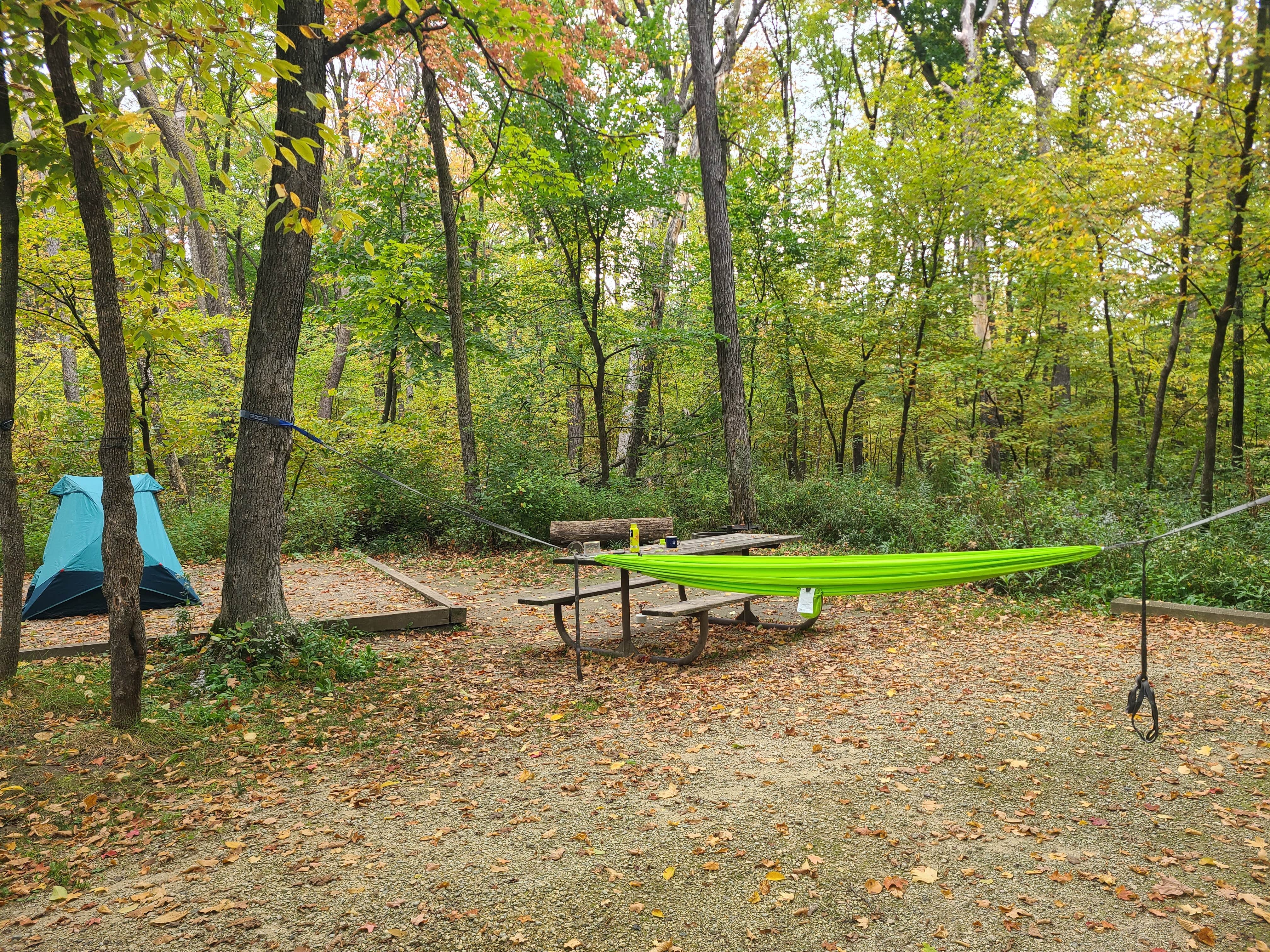 Katherine T.'s photo of tent camping at Nerstrand Big Woods State Park Campground near Savage, MN
