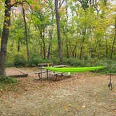 Review photo of Nerstrand Big Woods State Park Campground by Katherine T., October 1, 2024