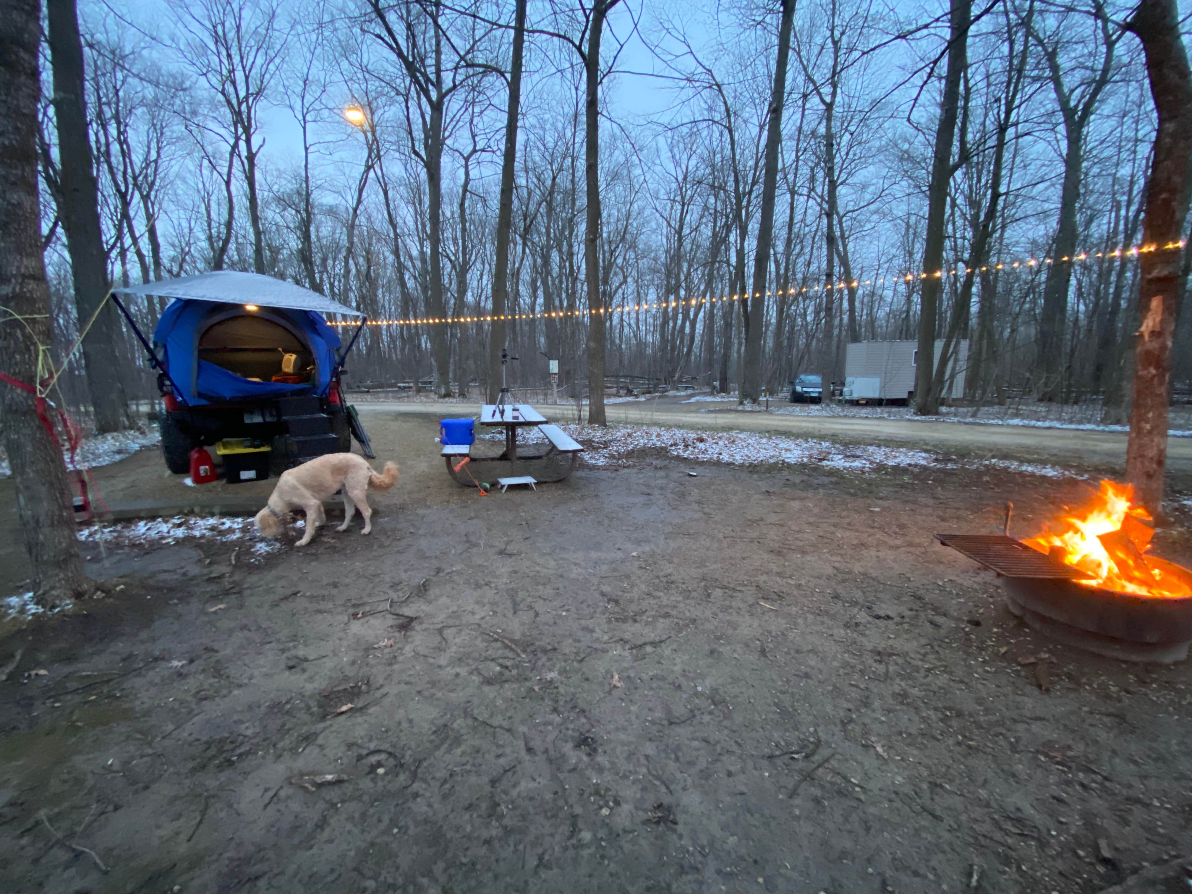 Erik R.'s photo of camping with pets at Nerstrand Big Woods State Park Campground near Faribault, MN