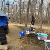 Review photo of Nerstrand Big Woods State Park Campground by Erik R., March 18, 2025