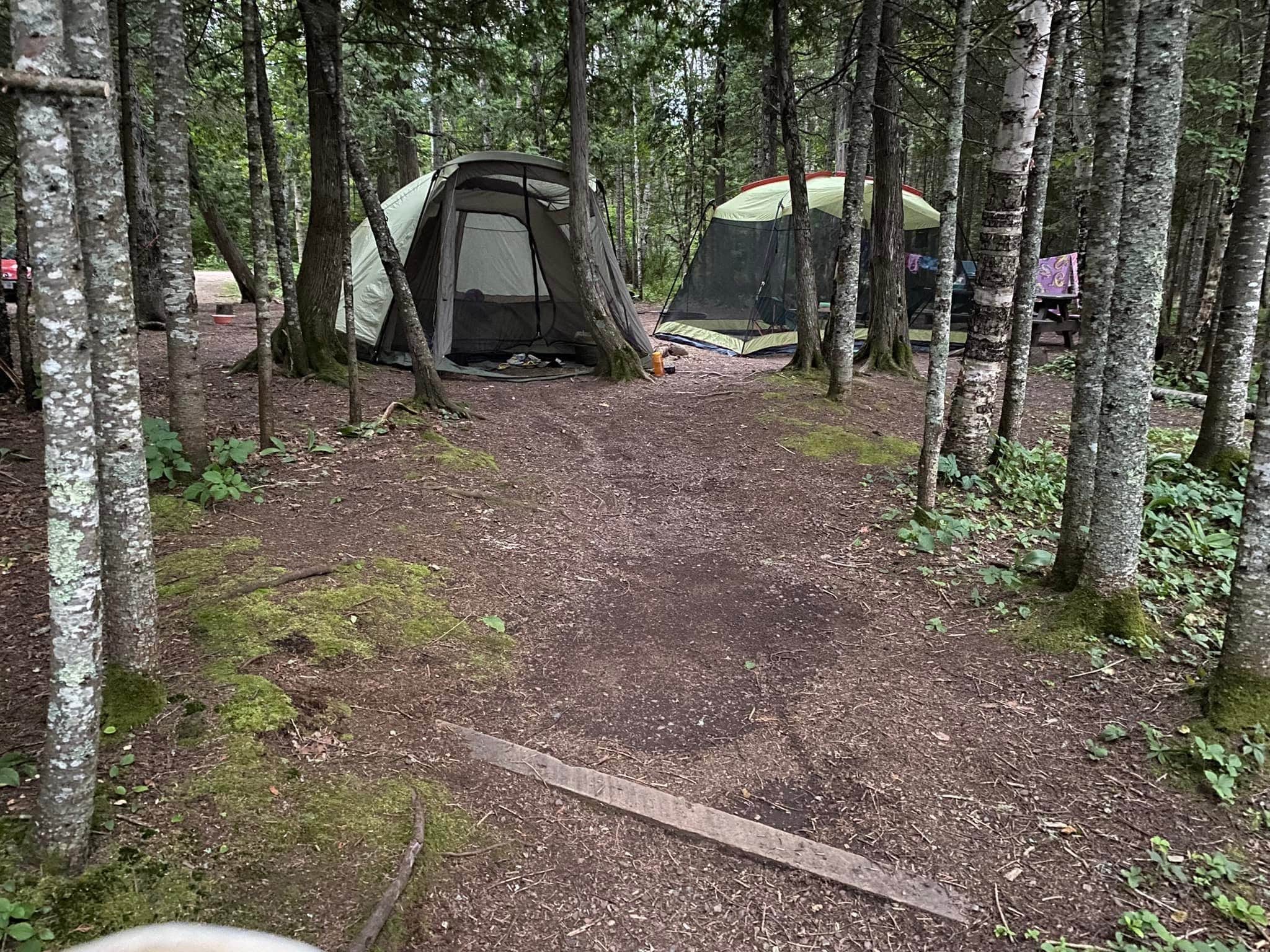 Camper-submitted photo at Ninemile Lake Campground near Tofte, MN