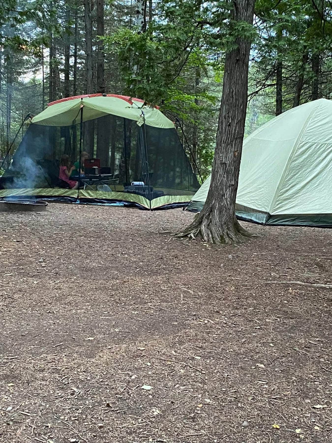 Camper-submitted photo at Ninemile Lake Campground near Tofte, MN