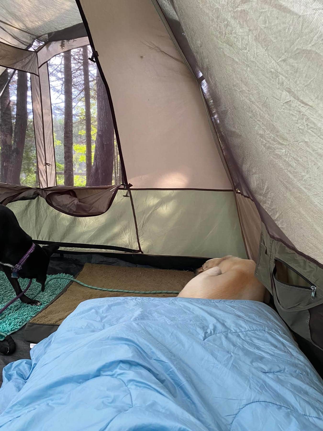 Camper-submitted photo at Ninemile Lake Campground near Tofte, MN