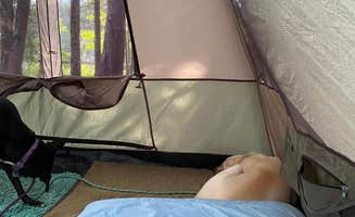 Kay K.'s photo at Ninemile Lake Campground near Tofte, MN