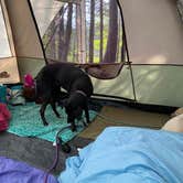Review photo of Ninemile Lake Campground by Kay K., August 24, 2025
