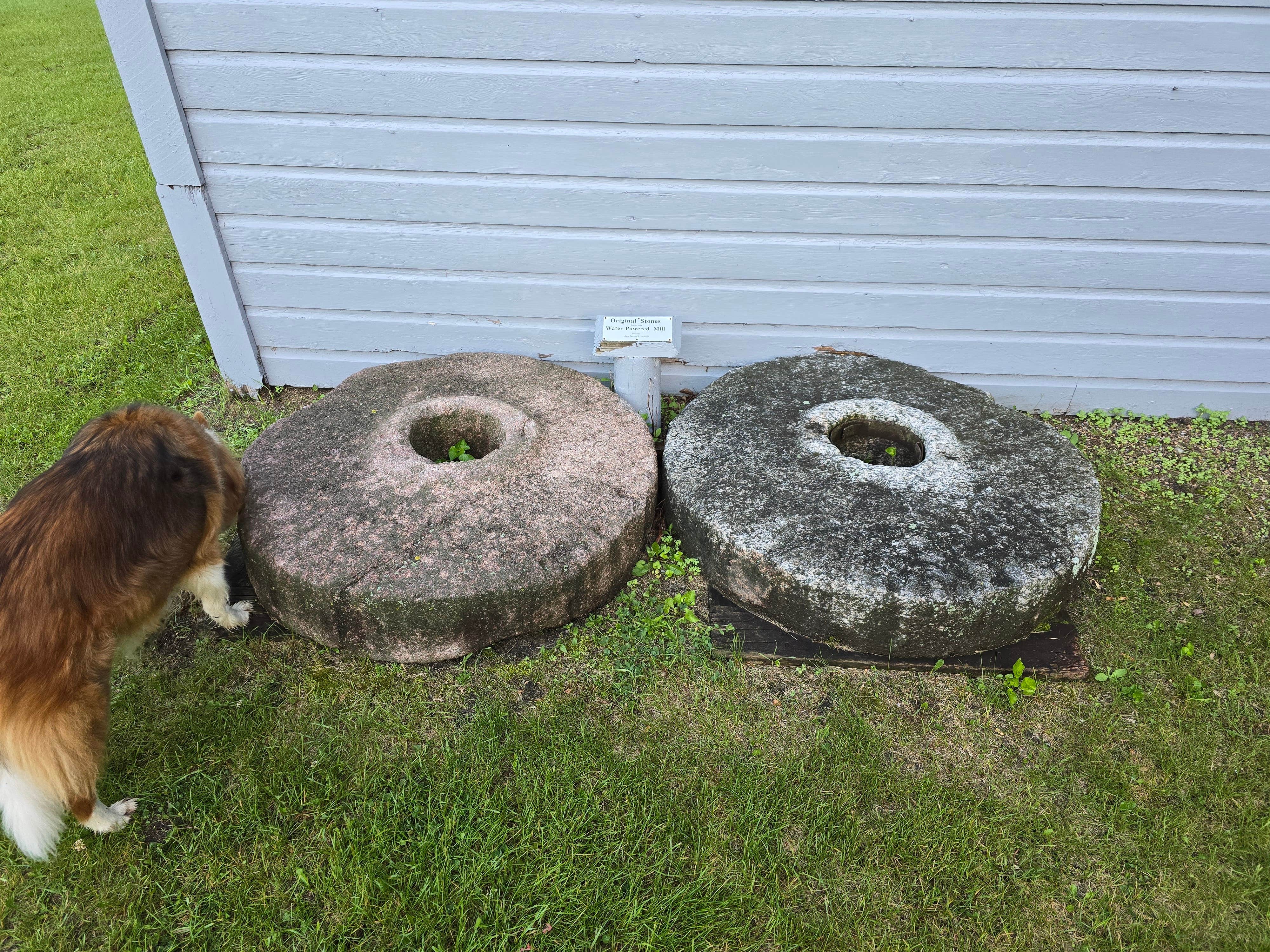 Teresa T.'s photo of camping with pets at Old Mill State Park Campground near Grand Forks, ND