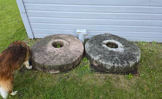 Teresa T.'s photo of camping with pets at Old Mill State Park Campground near Roseau, MN