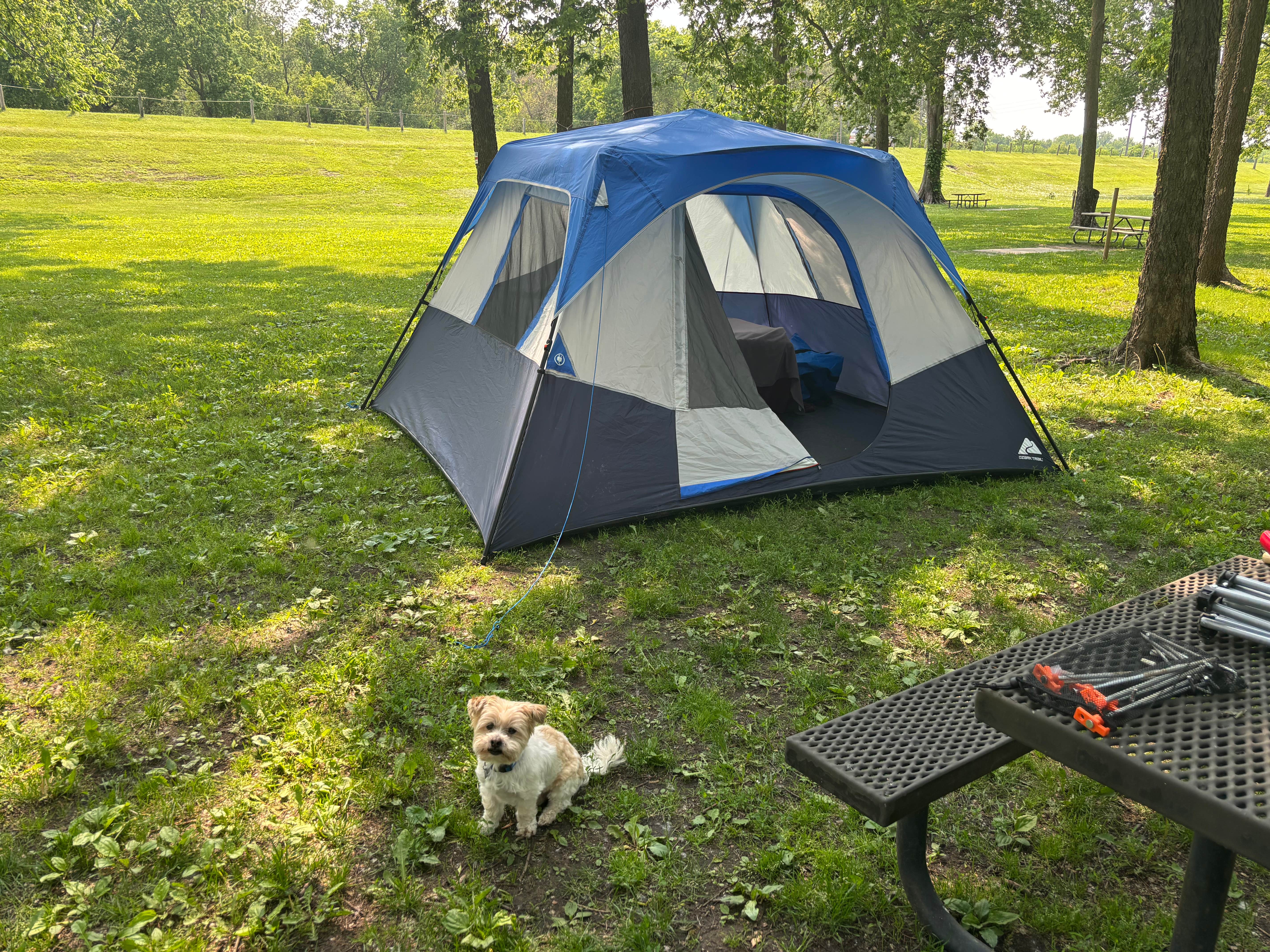 Camper submitted image from Prairie Island City Campground - 1