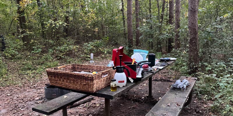 Camper submitted image from Kruger Campground and Management Unit