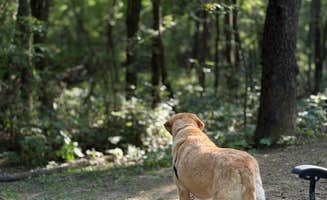 Thomas D.'s photo of camping with pets at Sakatah Lake State Park Campground near Blue Earth, MN