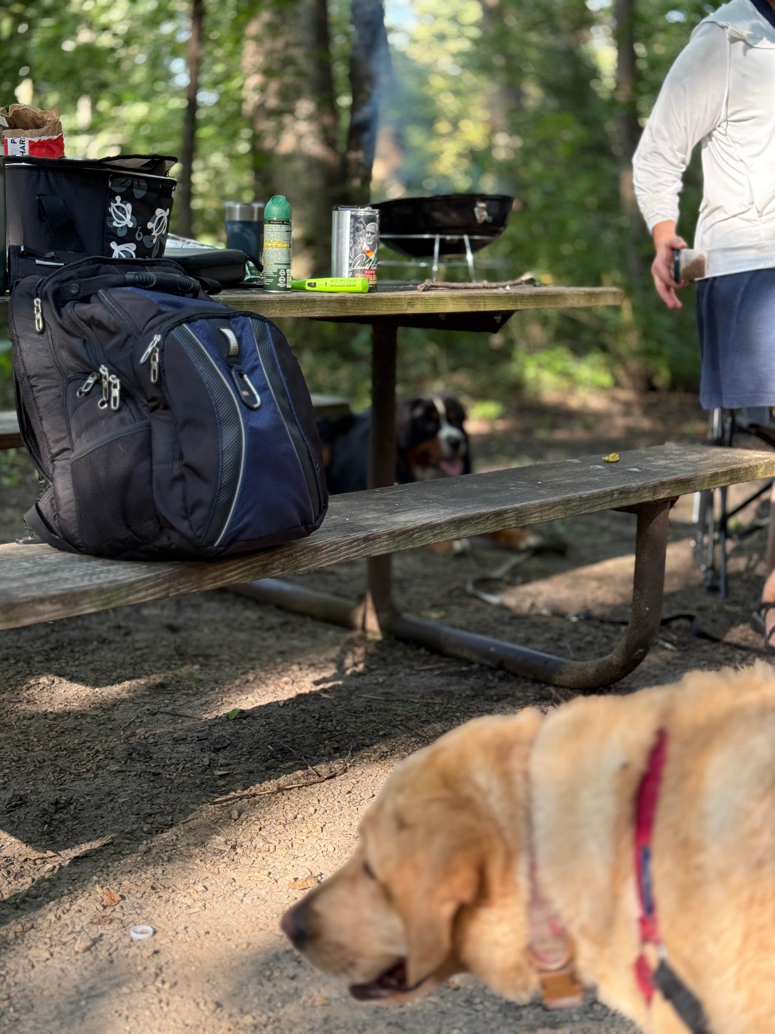 Thomas D.'s photo of camping with pets at Sakatah Lake State Park Campground near Faribault, MN