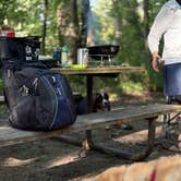 Review photo of Sakatah Lake State Park Campground by Thomas D., September 1, 2025