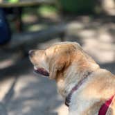 Review photo of Sakatah Lake State Park Campground by Thomas D., September 1, 2025