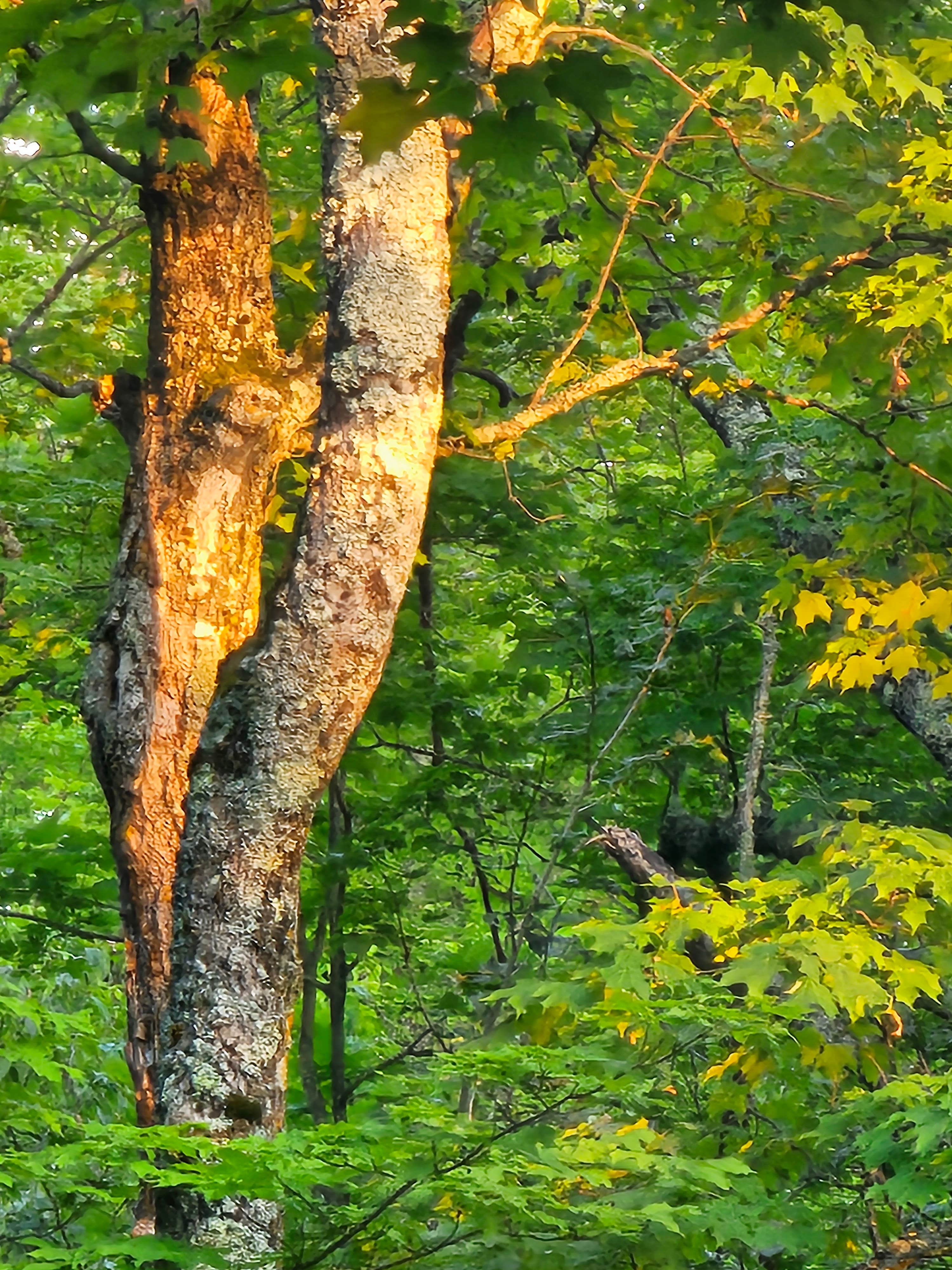 Camper-submitted photo at Hay Lake near Turner, MN