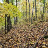 Review photo of Deer Lake Campground by Elizabeth S., March 20, 2025