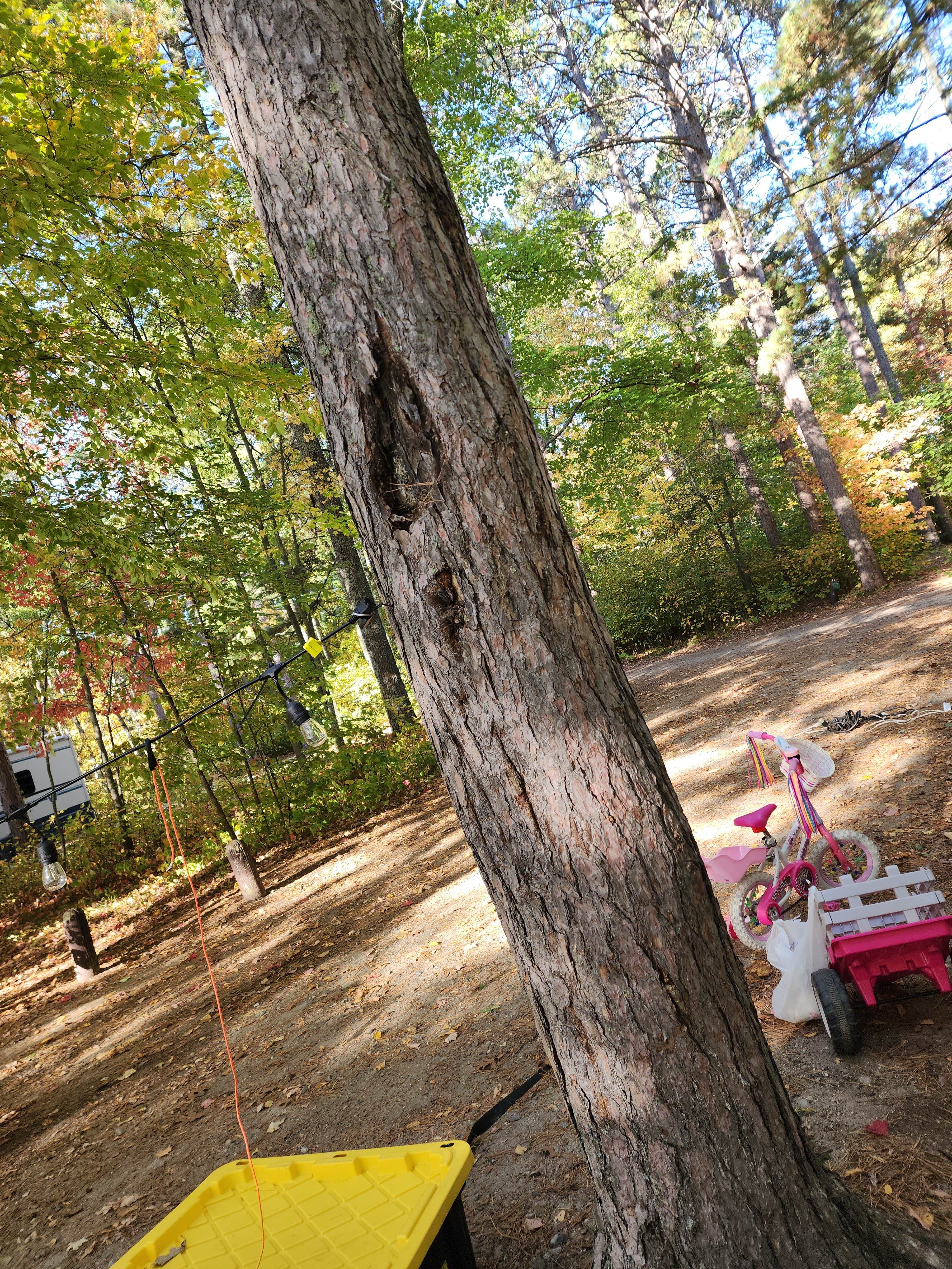 Camper submitted image from Deer Lake Campground - 5