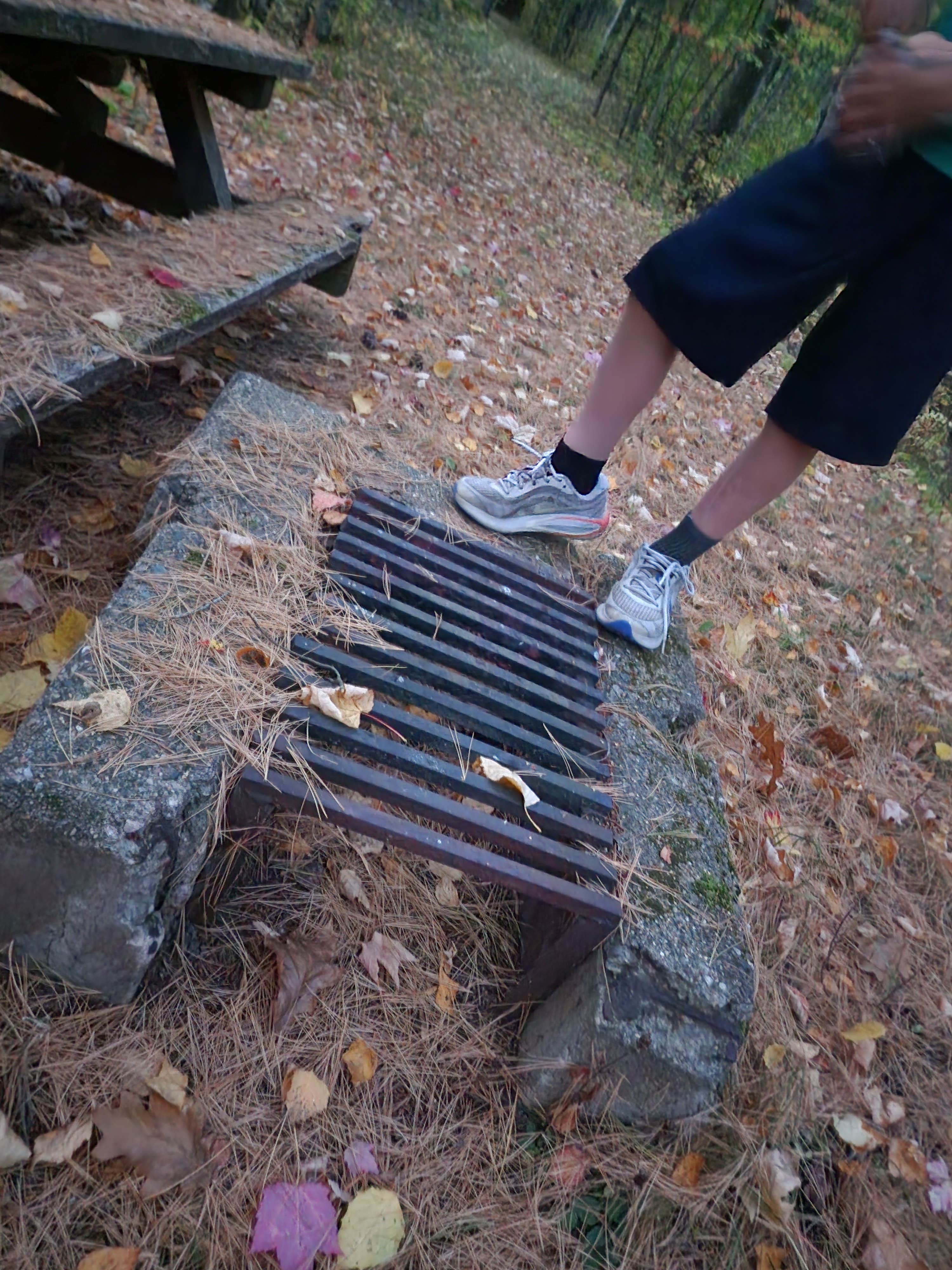 Camper submitted image from Deer Lake Campground - 5