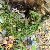 Review photo of Deer Lake Campground by Elizabeth S., March 20, 2025