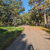 Review photo of St. Croix Bluffs Regional Park by Brad J., October 6, 2023