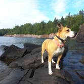 Review photo of Baptism River Campground — Tettegouche State Park by Brent B., September 26, 2023