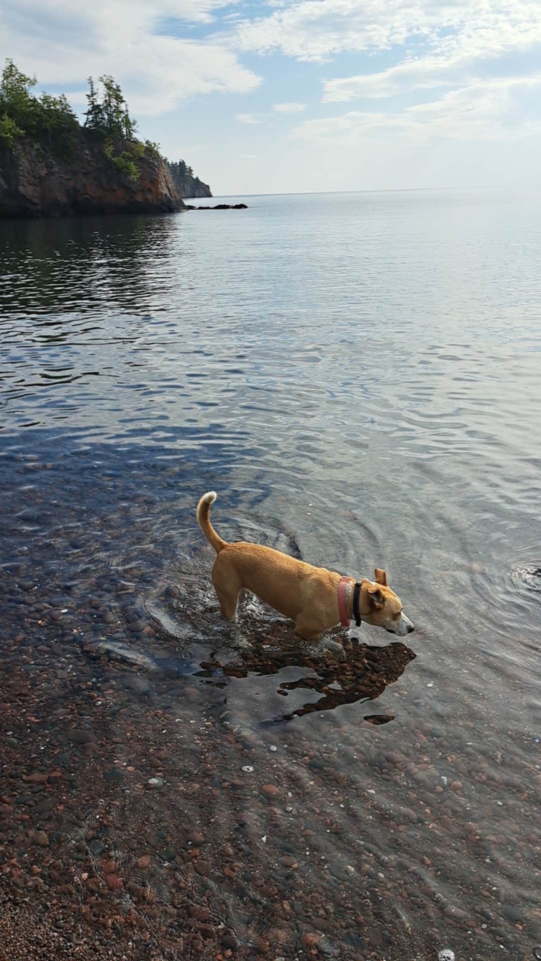 Brent B.'s photo of camping with pets at Baptism River Campground — Tettegouche State Park in Minnesota