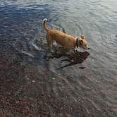 Review photo of Baptism River Campground — Tettegouche State Park by Brent B., September 26, 2023