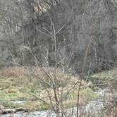 Review photo of Minneiska Campground — Whitewater State Park by Crystal B., November 19, 2025