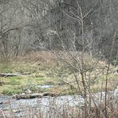 Review photo of Minneiska Campground — Whitewater State Park by Crystal B., November 19, 2025