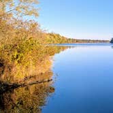 Review photo of Wild River State Park Campground by Sarah D., October 17, 2025