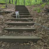 Review photo of Wild River State Park Campground by Joslyn H., June 27, 2024