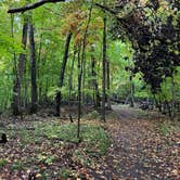 Review photo of Wild River State Park Campground by Mark B., September 26, 2023