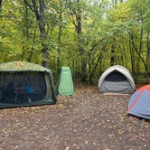Review photo of Wild River State Park Campground by Mark B., September 26, 2023
