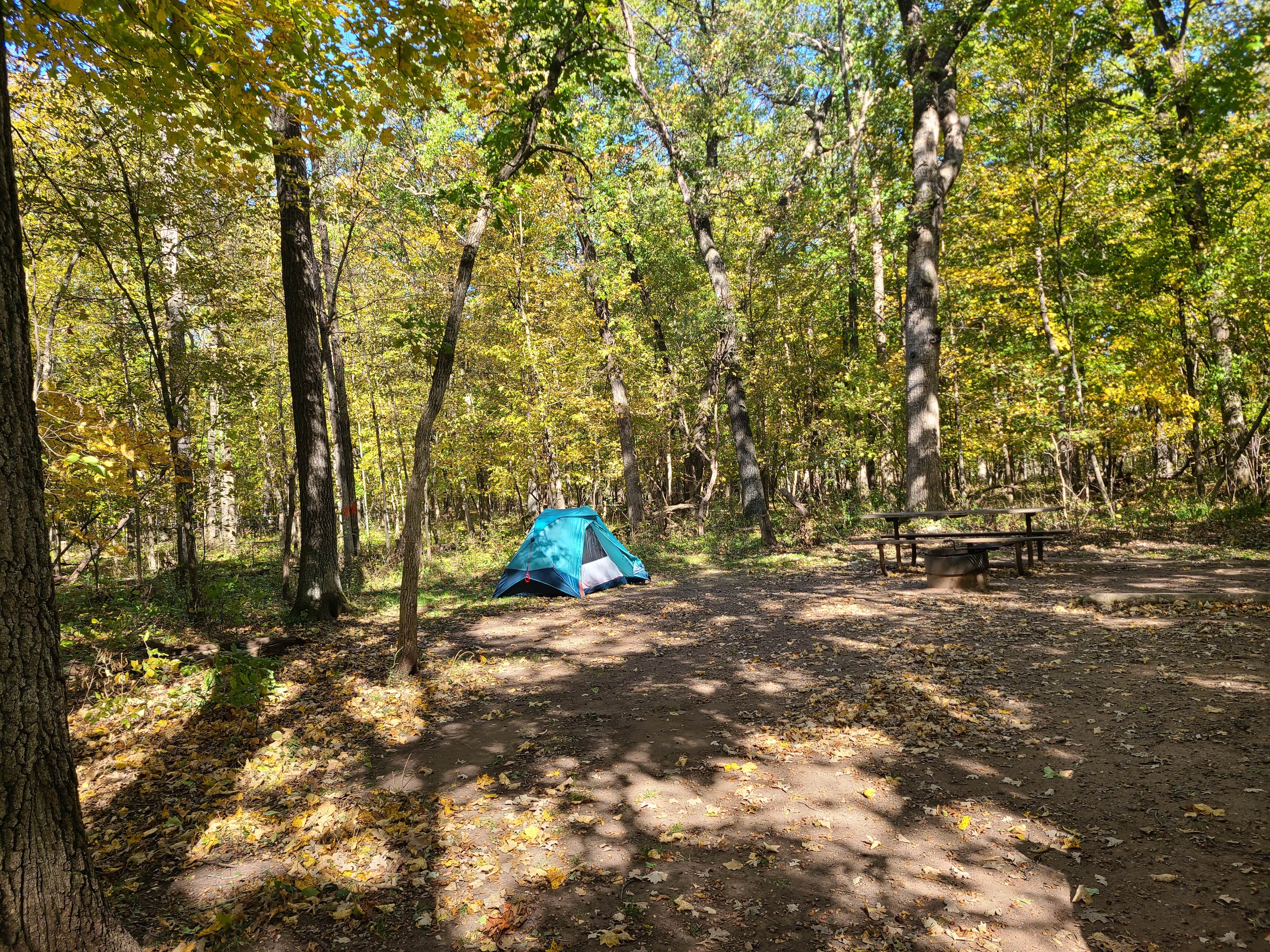 Katherine T.'s photo at Wild River State Park Campground near Frederic, WI