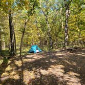 Review photo of Wild River State Park Campground by Katherine T., October 11, 2024