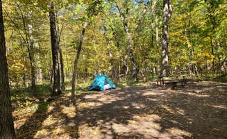 Katherine T.'s photo at Wild River State Park Campground near Lindstrom, MN