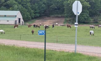 Joslyn H.'s photo of camping with a horse at Wild River State Park Campground near Lauderdale, MN