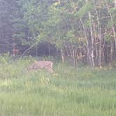 Review photo of Wild River State Park Campground by Joslyn H., June 27, 2024