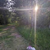 Review photo of Wild River State Park Campground by Joslyn H., June 27, 2024