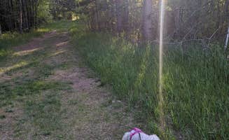 Joslyn H.'s photo of camping with pets at Wild River State Park Campground near Zimmerman, MN