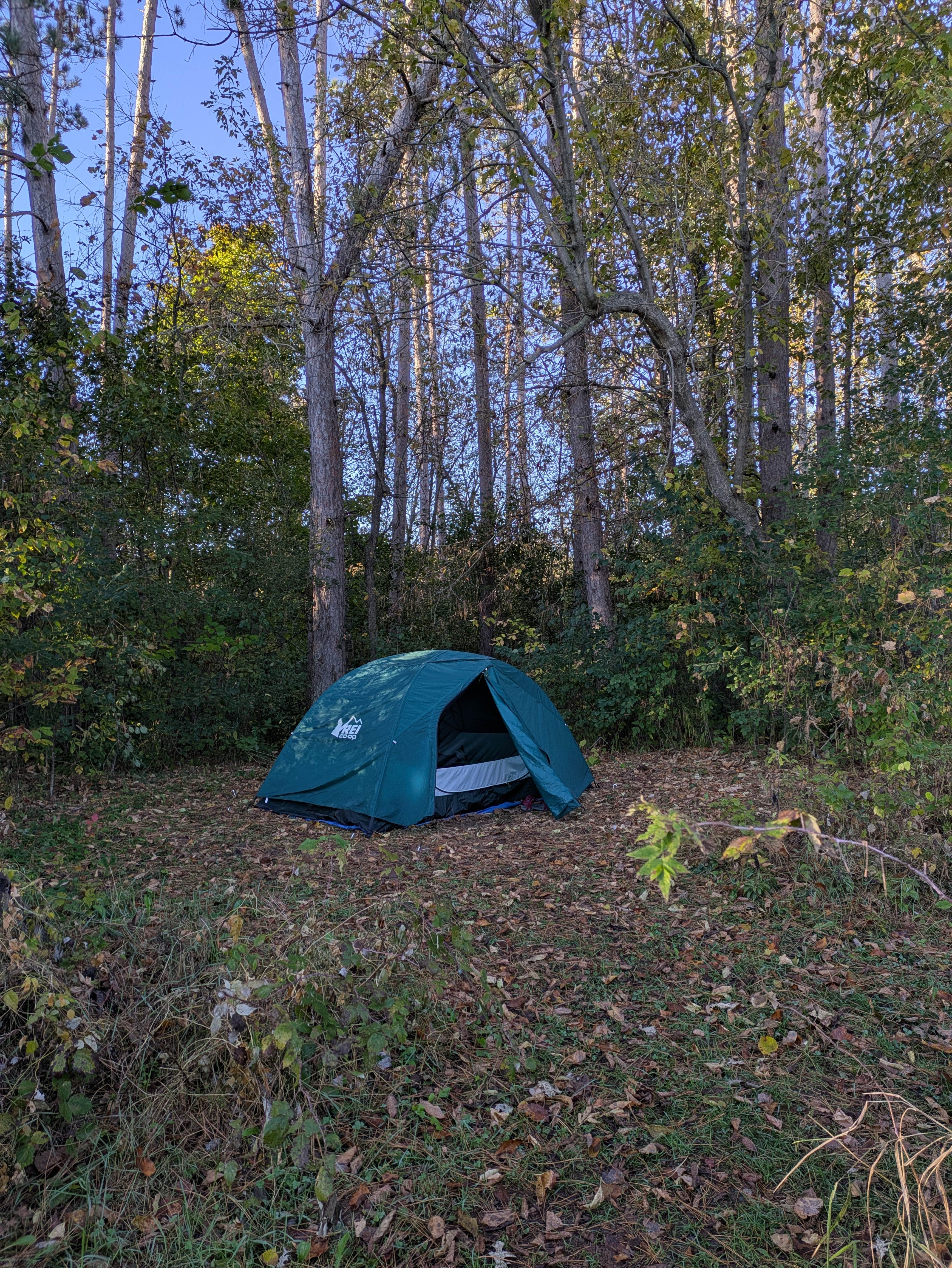 Sarah D.'s photo at Wild River State Park Campground near Osceola, WI