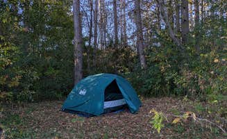 Sarah D.'s photo at Wild River State Park Campground near Saint Croix National Scenic River