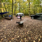 Review photo of Wild River State Park Campground by Lawrence K., September 29, 2023