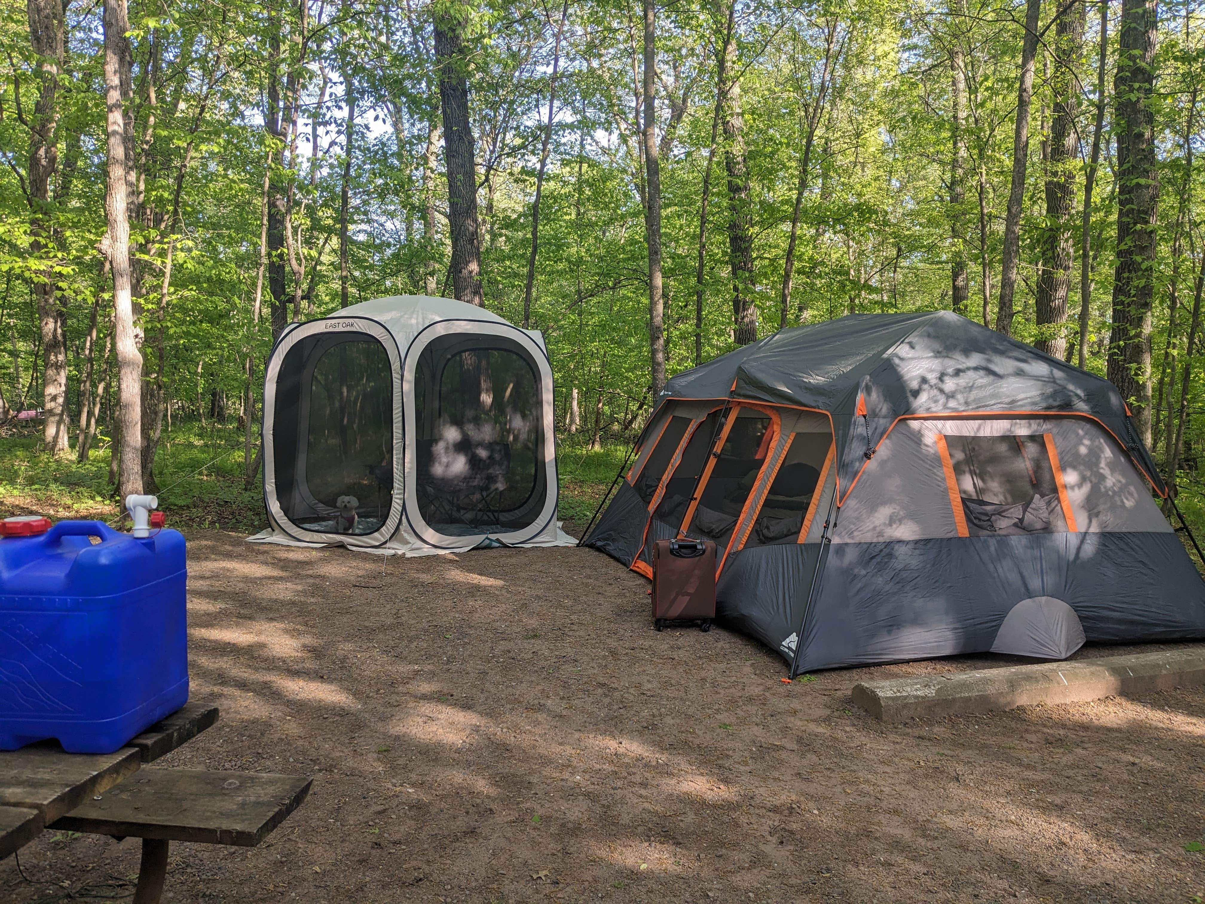 Joslyn H.'s photo at Wild River State Park Campground near Saint Croix National Scenic River