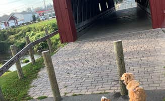 Pad F.'s photo of camping with pets at Zumbrota Covered Bridge Park near Kellogg, MN