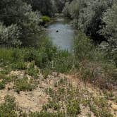 Review photo of Miracle Hot Springs by Natalie G., July 16, 2026