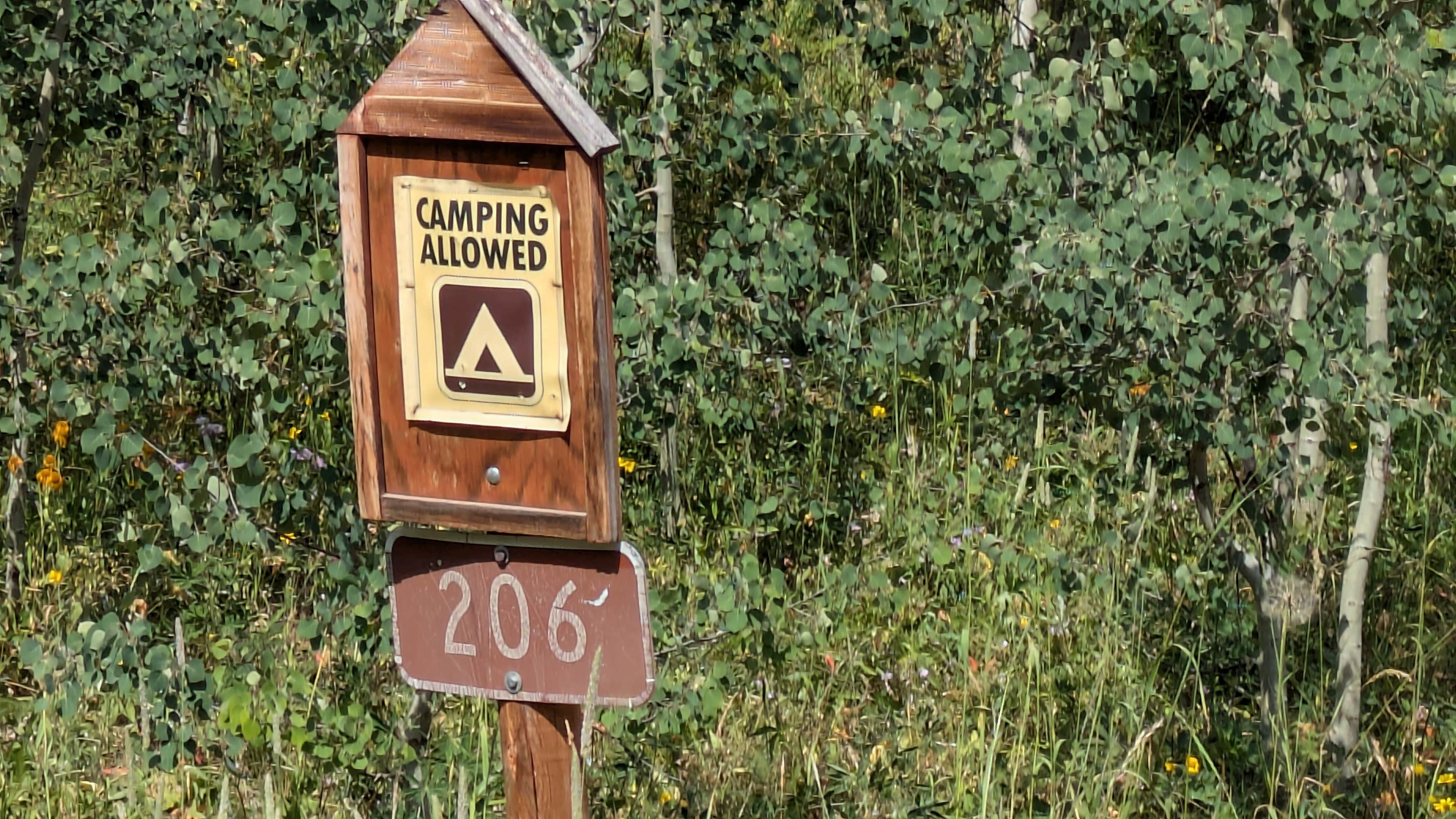 Camper-submitted photo at Mirror Lake Dispersed and TH near Meeker, CO