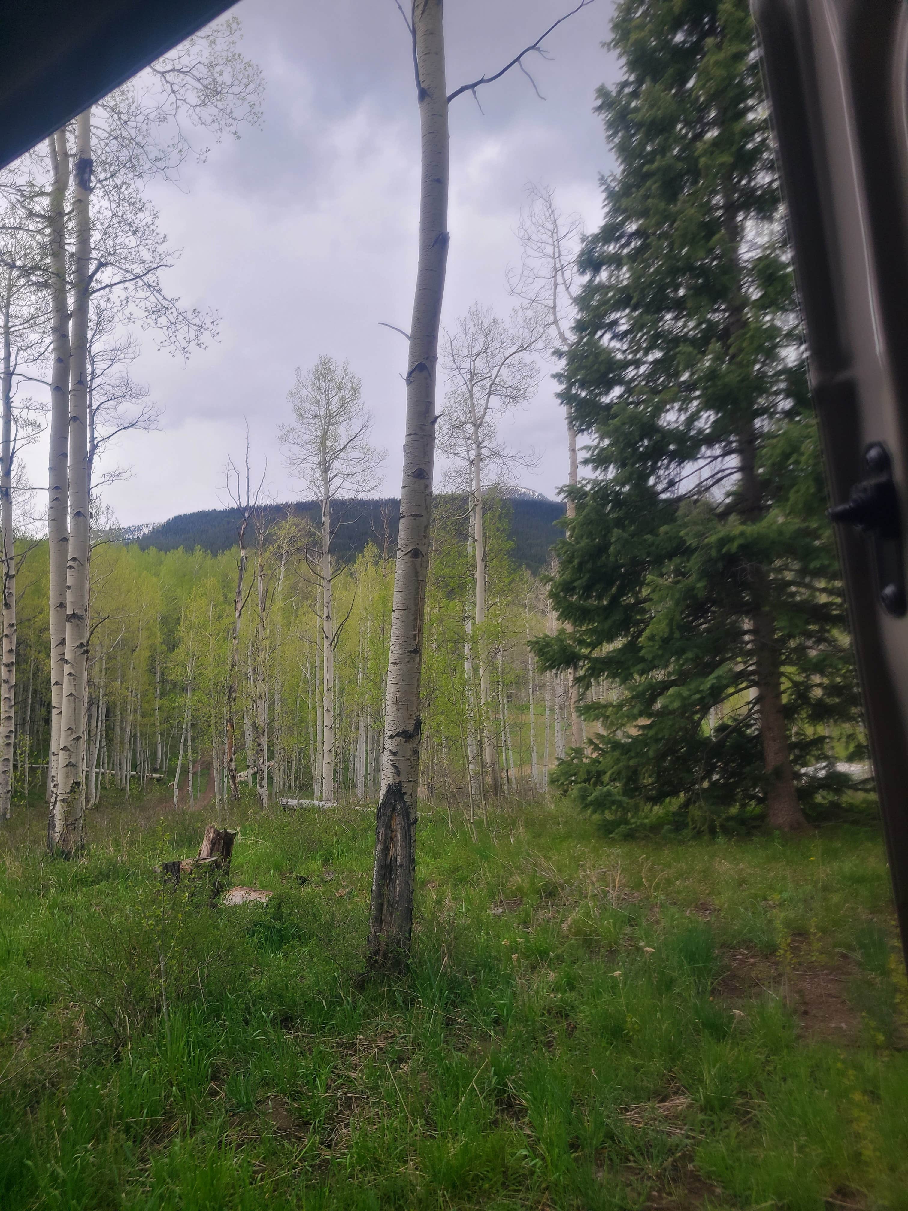 Camper-submitted photo at Mirror Lake Dispersed and TH near Meeker, CO