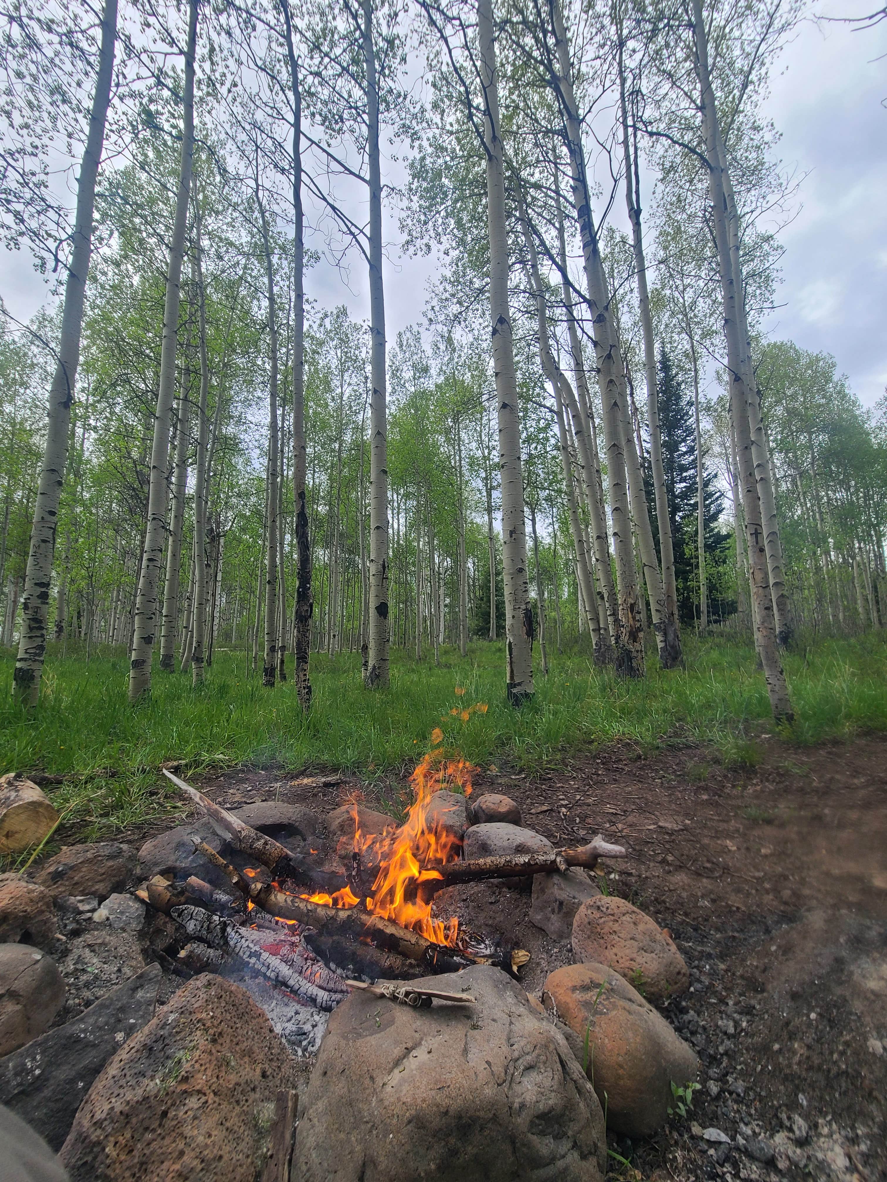 Camping near Trout Creek Dispersed Camping: Mirror Lake Dispersed and TH, Yampa, Colorado