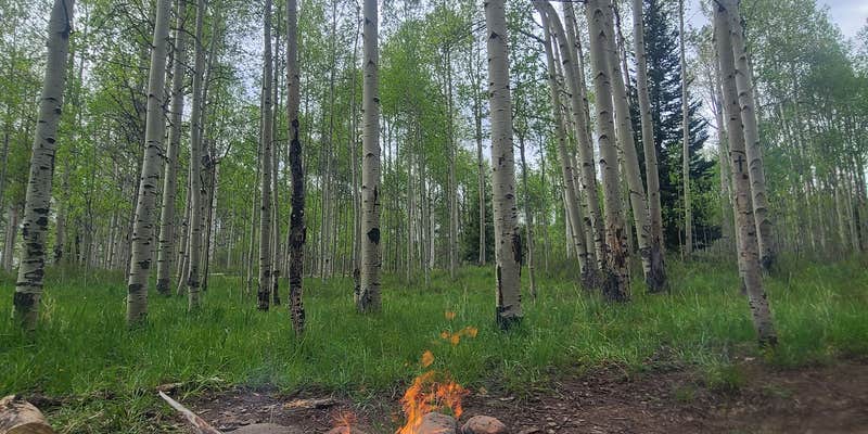 Camper submitted image from Mirror Lake Dispersed and TH